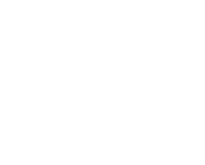 NetzIT Solution