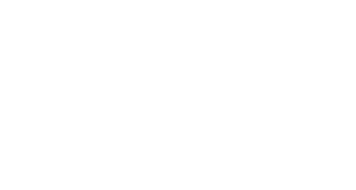 Thornar Blitzschutz