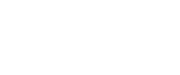 digitalscouting